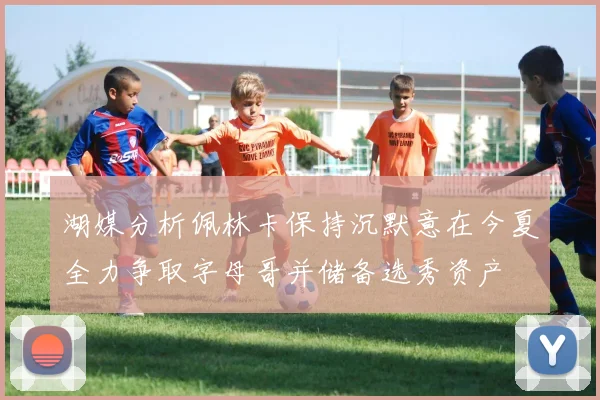湖媒分析佩林卡保持沉默意在今夏全力争取字母哥并储备选秀资产